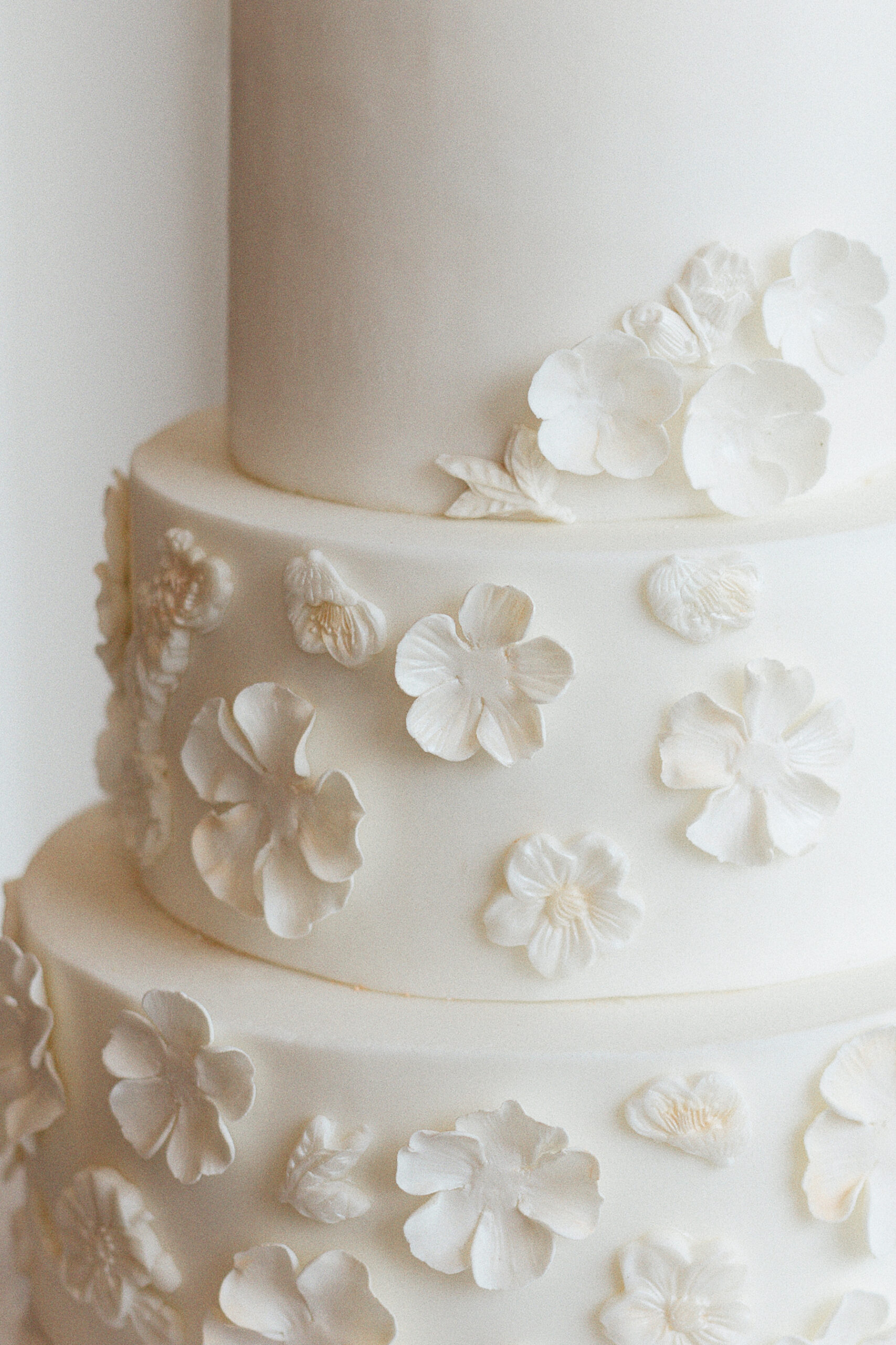 A close-up of an elegant white wedding cake adorned with delicate floral detailing, showcasing intricate craftsmanship and timeless beauty.